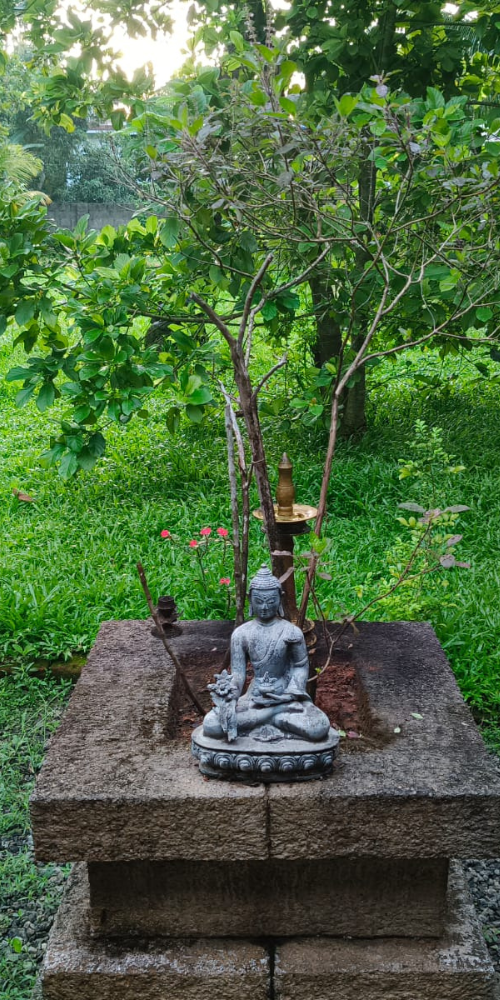 marari retreat1